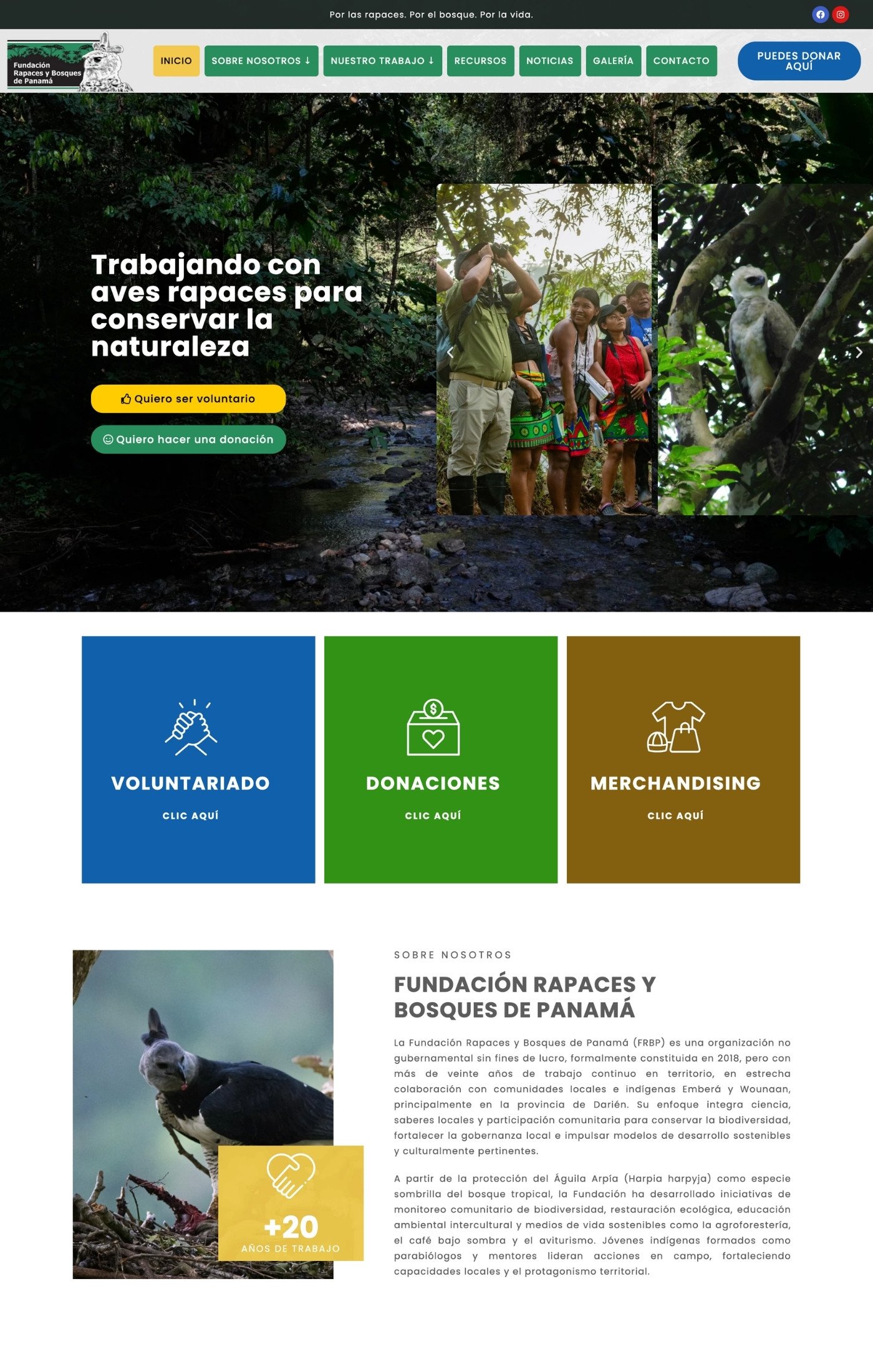 Rapaces Bosques